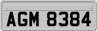 AGM8384