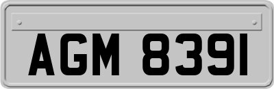 AGM8391