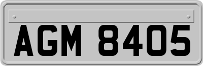 AGM8405