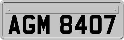 AGM8407