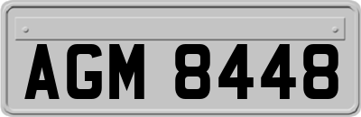 AGM8448