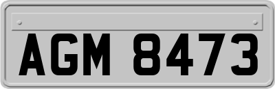 AGM8473
