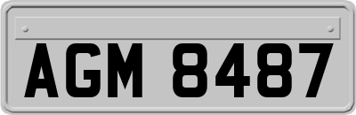 AGM8487