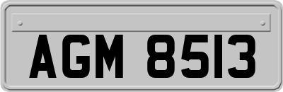 AGM8513