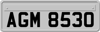 AGM8530