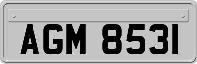 AGM8531