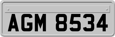 AGM8534