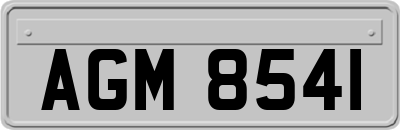 AGM8541