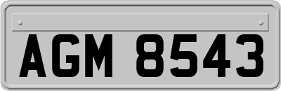 AGM8543