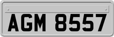 AGM8557