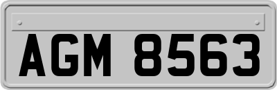AGM8563