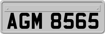 AGM8565