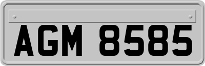 AGM8585