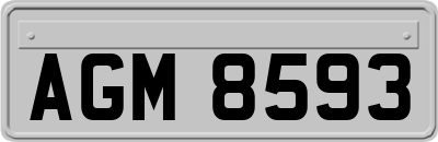 AGM8593