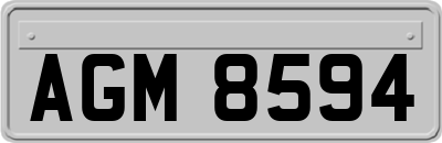 AGM8594