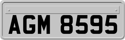 AGM8595