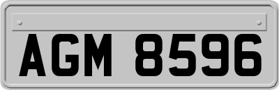 AGM8596