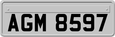 AGM8597