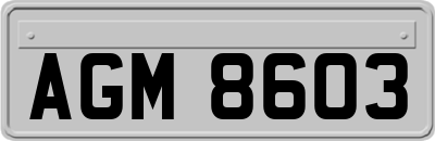 AGM8603