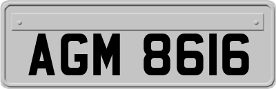 AGM8616