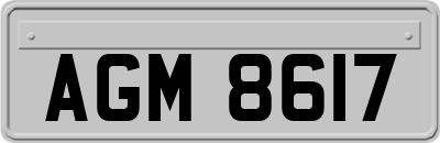 AGM8617