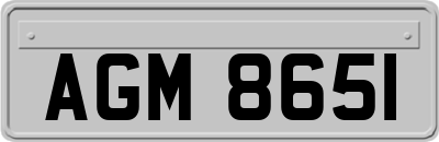 AGM8651