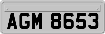 AGM8653