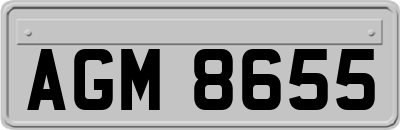 AGM8655
