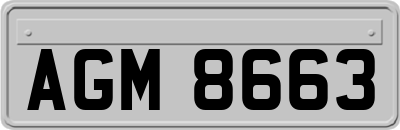 AGM8663