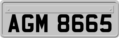 AGM8665