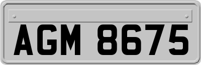 AGM8675