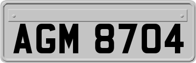 AGM8704