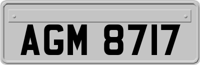 AGM8717