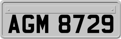 AGM8729