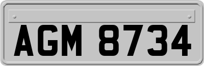 AGM8734