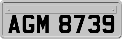 AGM8739