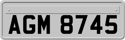 AGM8745