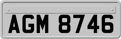 AGM8746
