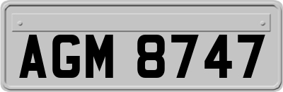 AGM8747