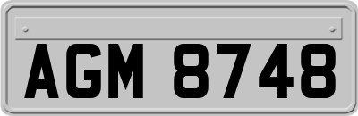 AGM8748