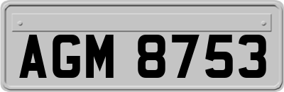 AGM8753