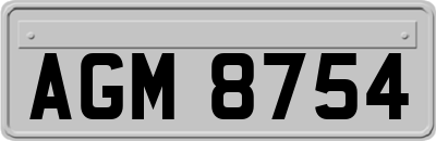 AGM8754