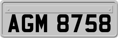 AGM8758