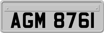 AGM8761
