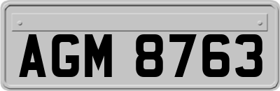 AGM8763