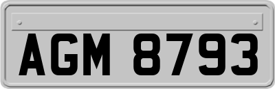AGM8793