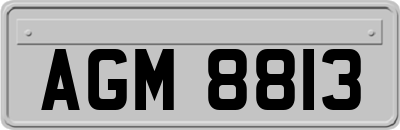 AGM8813