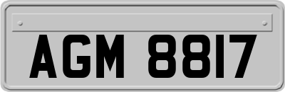 AGM8817