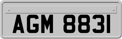 AGM8831