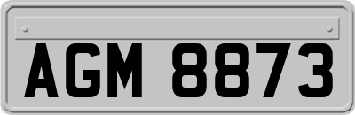 AGM8873